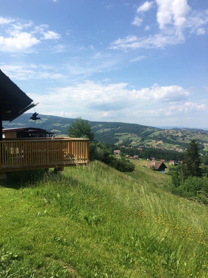 Ferienhaus Trausibauer Стайнц Екстериор снимка