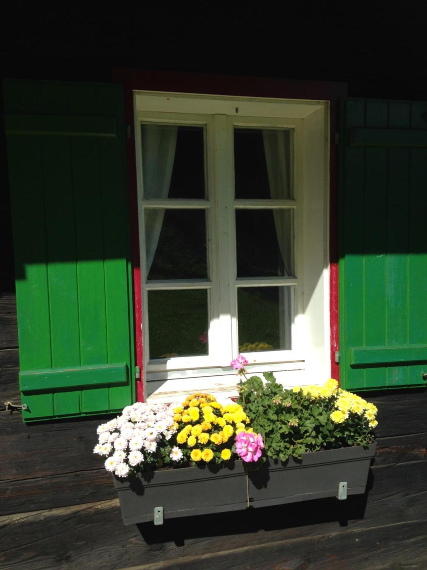 Ferienhaus Trausibauer Стайнц Екстериор снимка